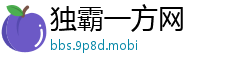 独霸一方网
